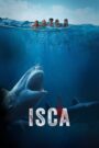 Isca